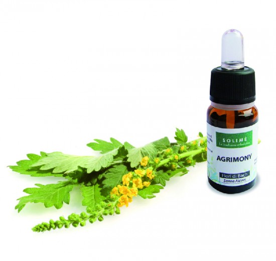 Bachovi cvetovi 1 Agrimony Repik Solime, 10 ml