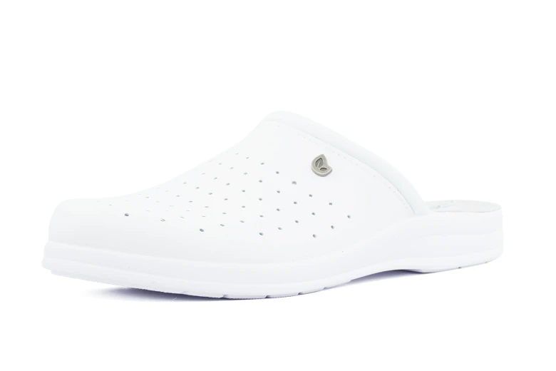 DreamWalk, Moški natikači Eco Bio 191