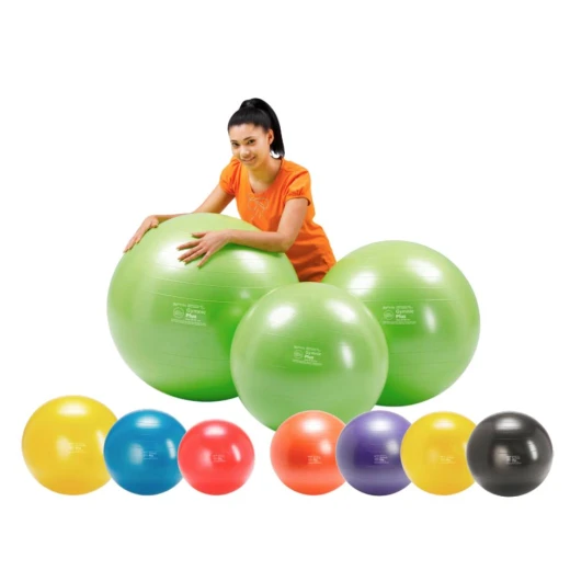 Gymnic PLUS žoga